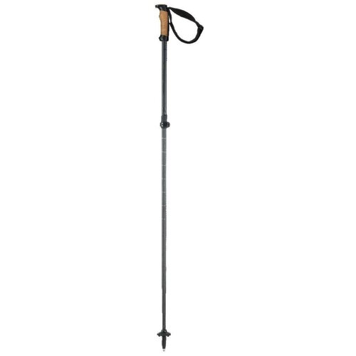 фото Горнолыжные палки elan voyager rod 2021-2022, 95-130, черный