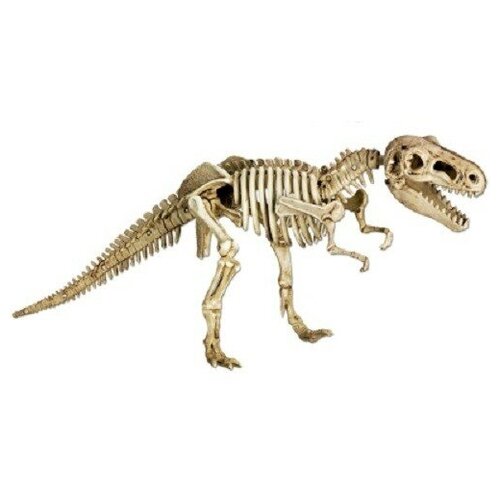 фото Набор мини-раскопки "тираннозавр. тирекс ворлд. t-rex world" (арт. 13126) spiegelburg