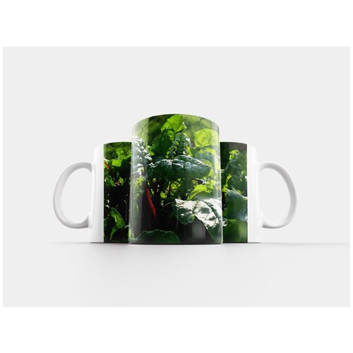 фото Кружка "мангольд, листья, овощи" 320 мл lotsprints