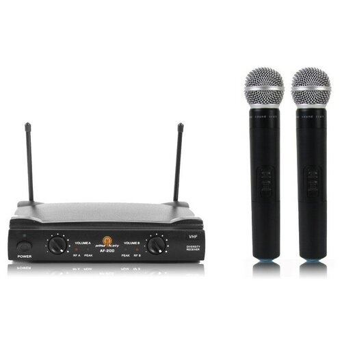 Комплект из 2 беспроводных микрофонов Arthur Forty AF-200 999000₽