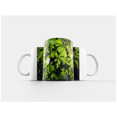 фото Кружка "groundcover, цветочный, растения" 320 мл lotsprints