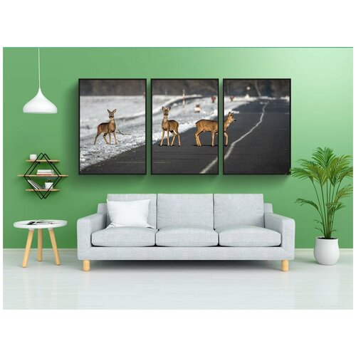 фото Набор модулных постеров для интерьера "дорога, пупкин, животное" 60x90 см. в тубусе, без рамки lotsprints