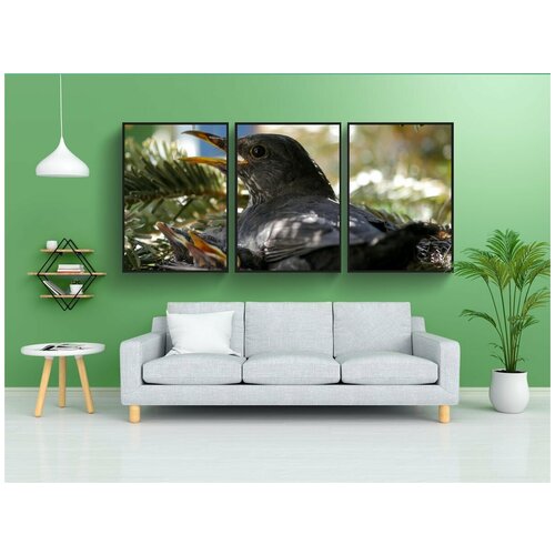 фото Набор модулных постеров для интерьера "животные, птица, природа" 60x90 см. в тубусе, без рамки lotsprints