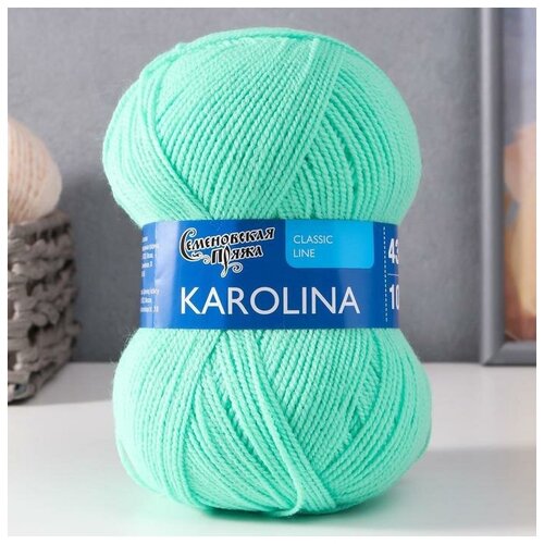 Пряжа Karolina (Каролина) 100% акрил 438м/100гр весна NEW (10899)