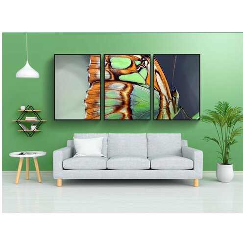 фото Набор модулных постеров для интерьера "малахит, spirotea steles, бабочка" 60x90 см. в тубусе, без рамки lotsprints