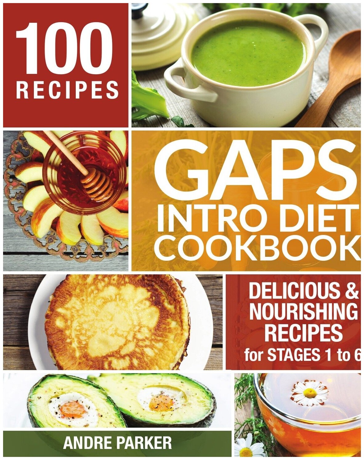 GAPS Introduction Diet Cookbook. 100 Delicious & Nourishing Recipes for Stages 1 to 6