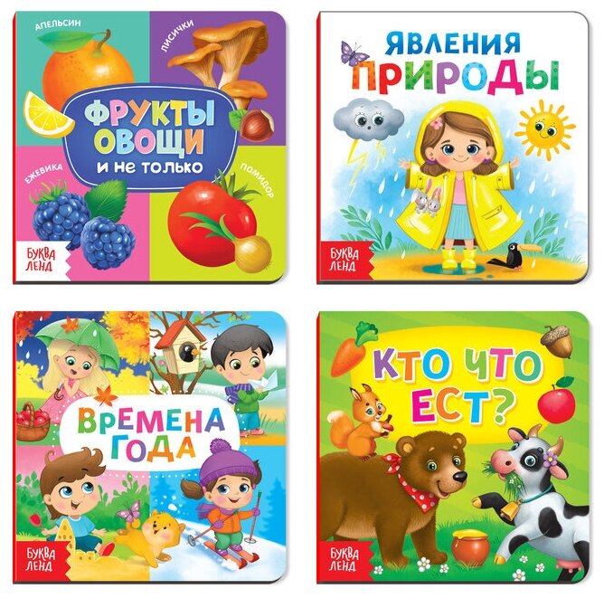 Книжка-игрушка, картонные, Знакомимся с окружающим миром , 4 шт. по 10 стр.