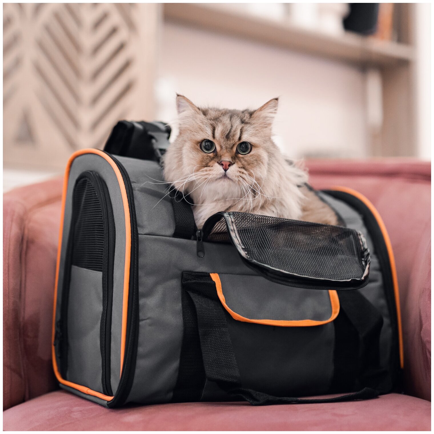 Рюкзак-переноска для животных, для кошек, для собак, "Не Один Дома" Orange, темно-серый, 41х21х30 см - фотография № 18