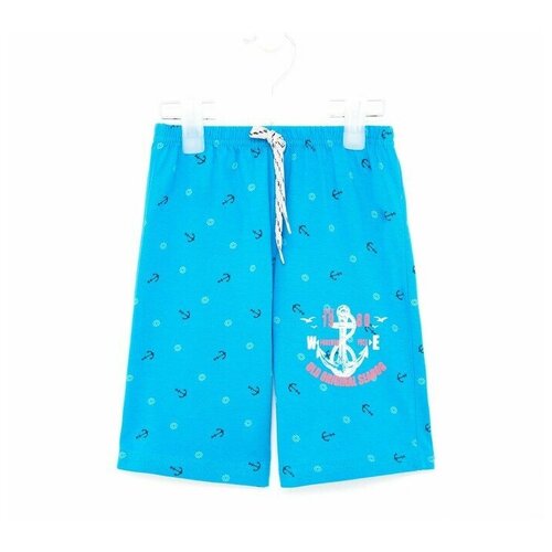 фото Шорты для мальчика, цвет голубой, рост 104 bonito