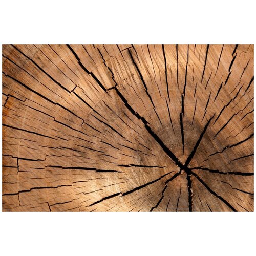 Фотофон виниловый 100х75 см., матовый Дизайн лавка фотофон антибликовый