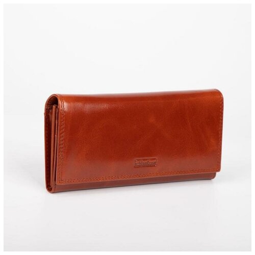 фото Кошелек жен 06-01-01.19*3*9. 2 отд молн. 4 отд. д/карт на клапане. рыжий 6924283 сима-ленд