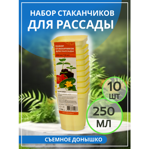 Набор стаканчиков для рассады 250 мл.*10шт лимонный техоснастка набор многоразовый для рассады поддон 24 стаканчика пи 3 1тхуп