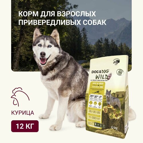 Корм для собак сухой Dog & Dog Wild Regional Farm, курица, утка, кролик 12кг (от года)