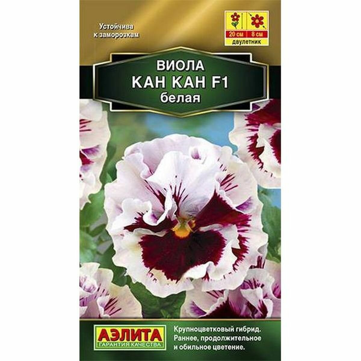 Семена Виола Кан Кан F1 белая  двулетник (Аэлита) 7шт