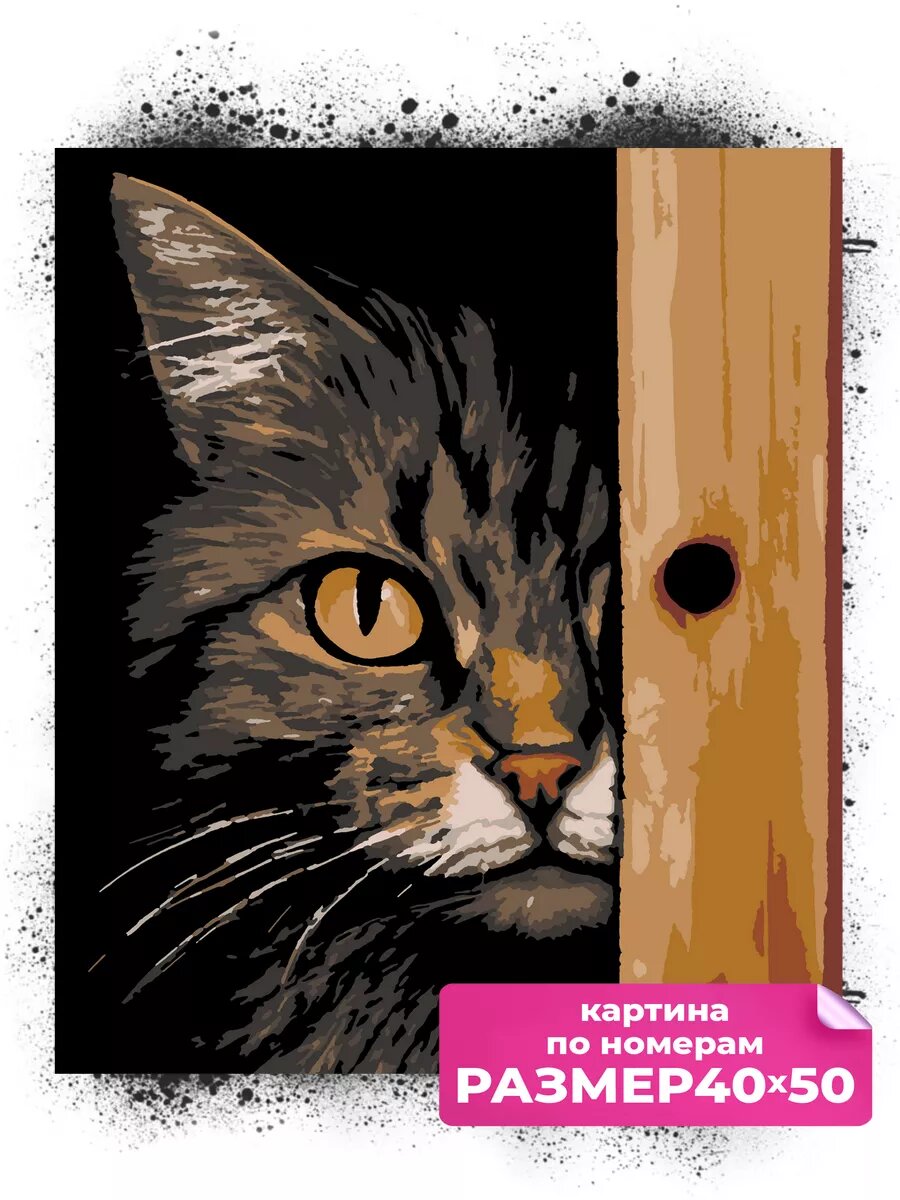 Картина по номерам "Кот" 40x50 см, холст на подрамнике, уровень сложности 3
