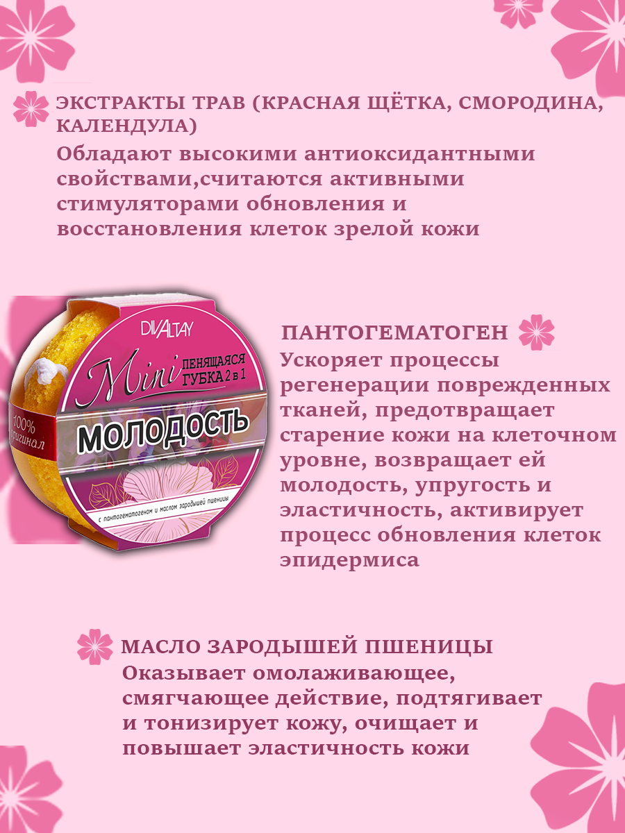 Набор мини-губок DIVALTAY, 2 в 1, для тела, Алтай, поролон, 4 шт — фото 1
