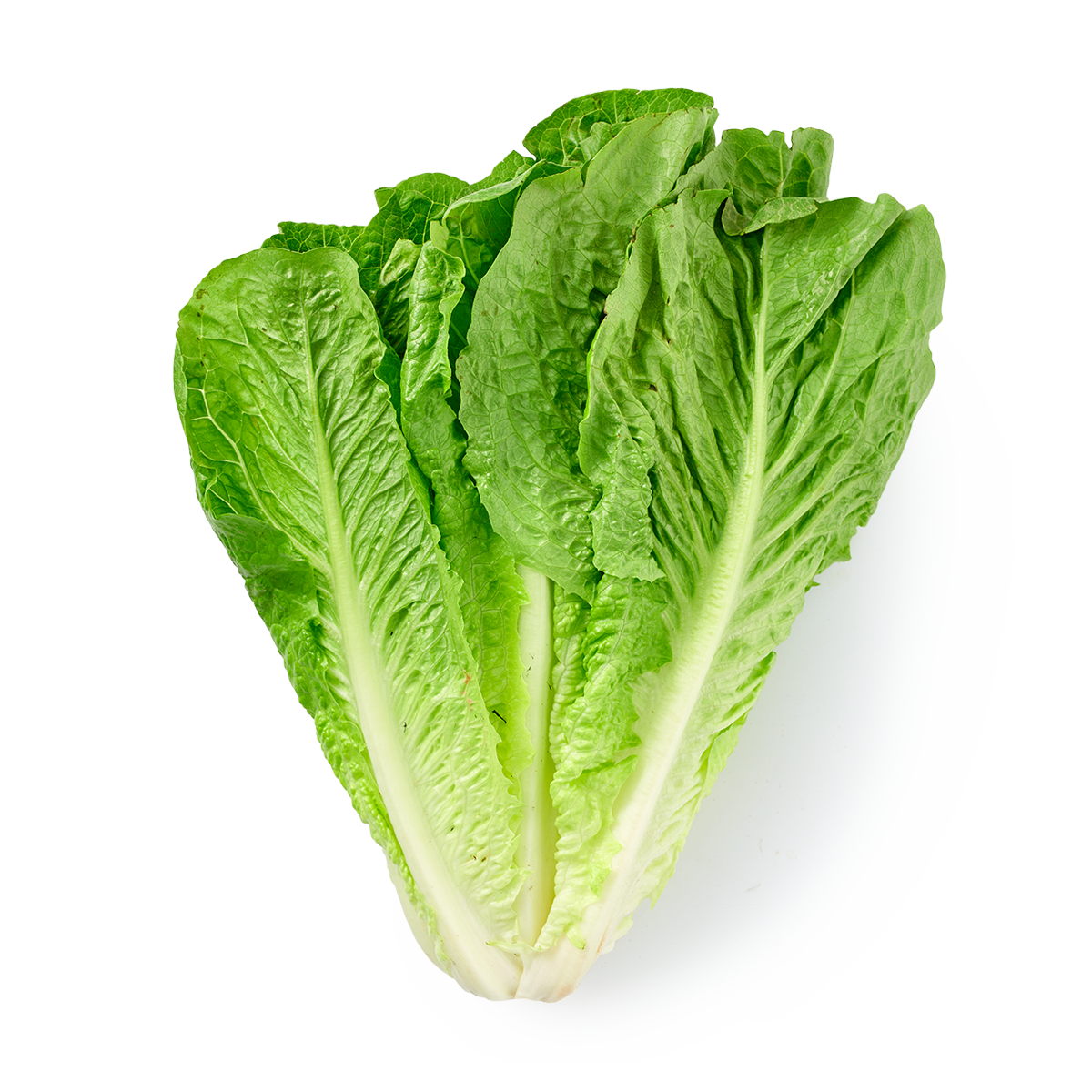 Свежий сочный салат "Романо", срезанная цельная форма, 450 грамм