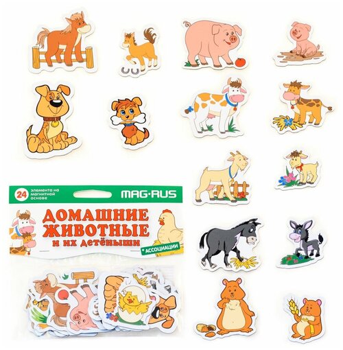 Домашние животные и их детеныши, Анданте (развивающая игра на магнитах, 24 эл, NF1013, серия Ассоциации)