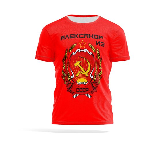 Футболка PANiN Brand, размер XXXL, черный, золотой, красный