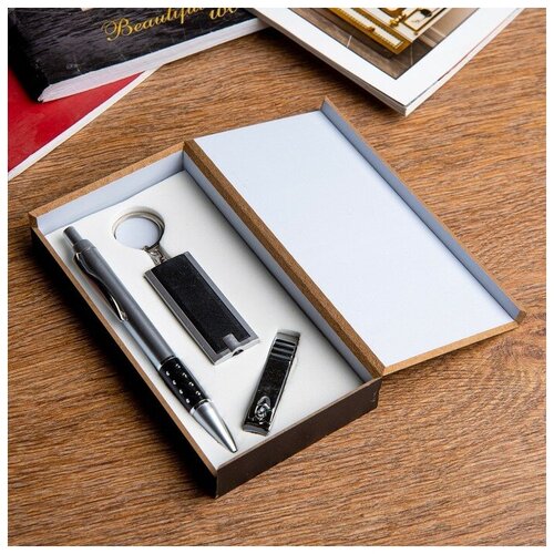 Набор подарочный 3в1 ручка кусачки фонарик черный 480₽