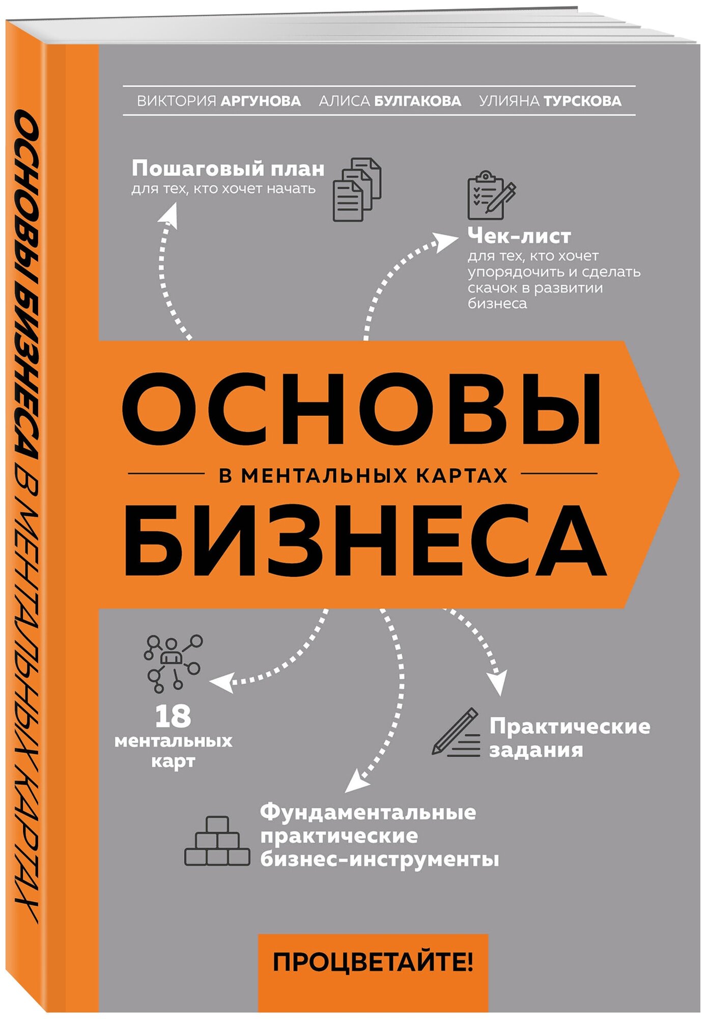 Аргунова В. В, Булгакова А. В, Турскова У. В. Основы бизнеса в ментальных картах