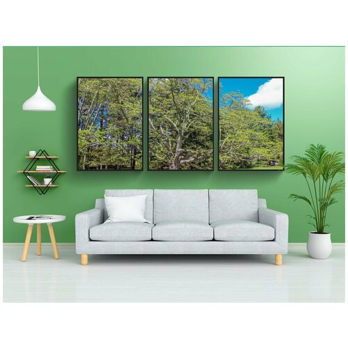 фото Набор модулных постеров для интерьера "дерево, дендрарий, природа" 60x90 см. в тубусе, без рамки lotsprints