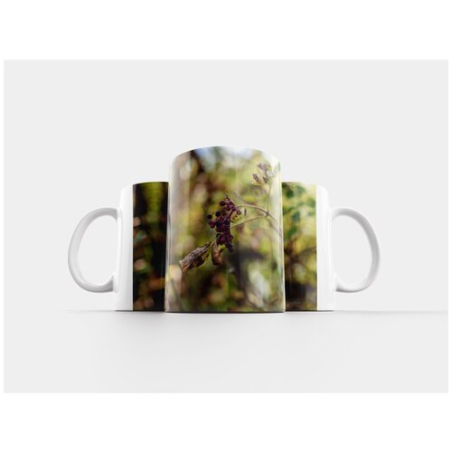 фото Кружка "дикорастущее растение, кустарник, природа" 320 мл lotsprints