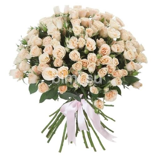Кустовые розы бими Букет из 29 кремовых кустовых роз "Яна", 60 см