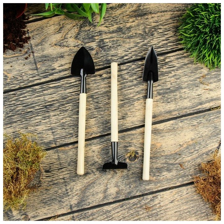 Greengo Набор инструментов, 3 предмета: грабли, 2 лопатки, длина 24 см, деревянные ручки - фотография № 1