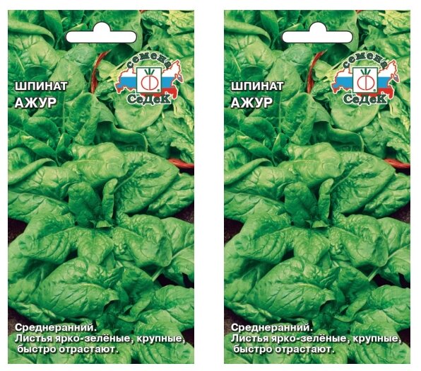 Семена СеДек шпинат Ажур, 2 уп. — купить в интернет-магазине по низкой ценена Яндекс Маркете