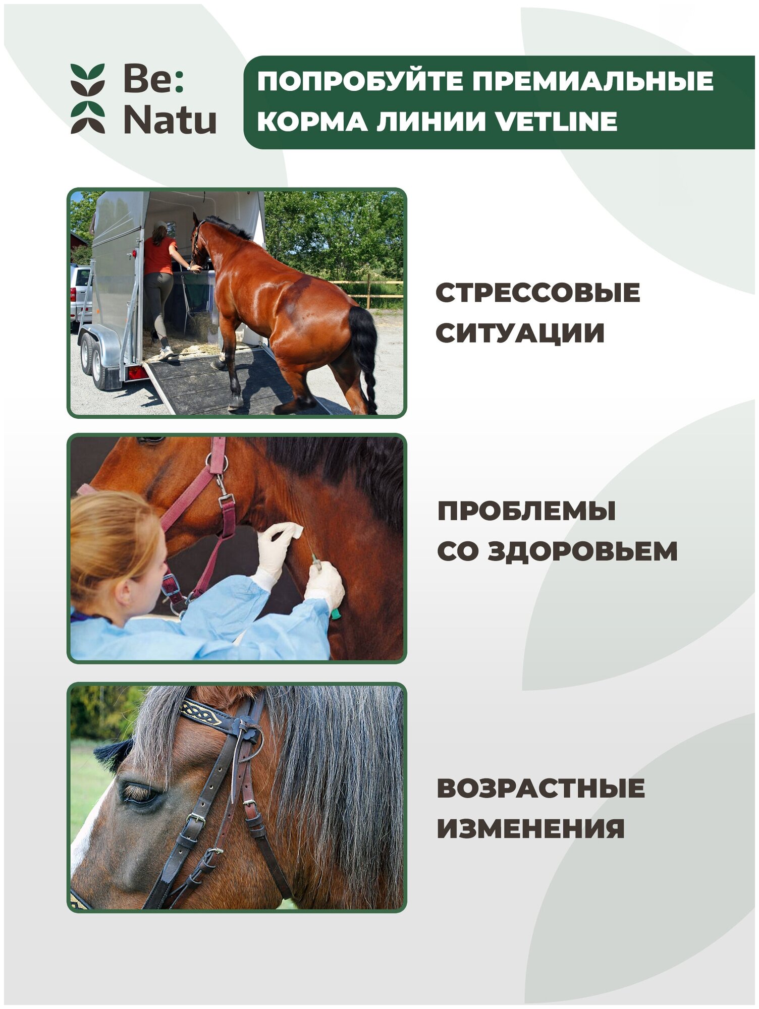 Be:Natu Корм для лошадей Pro:Sport mix 20 кг - фотография № 7