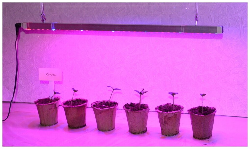 Мощная светодиодная фитолинейка для рассады, цветов и аквариумных растений "Кастор" 110 см - фотография № 2
