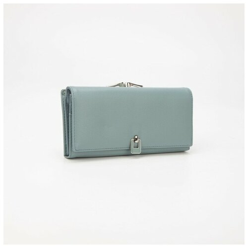 фото Кошелёк на магнитах, цвет голубой нет бренда