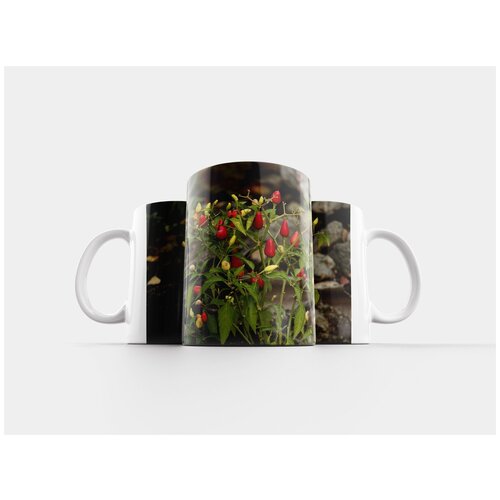 фото Кружка "еда, овощи, перец" 320 мл lotsprints