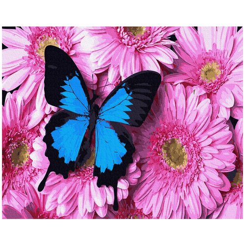 Paintboy Картина по номерам Бабочка на цветах, 40 x 50 см