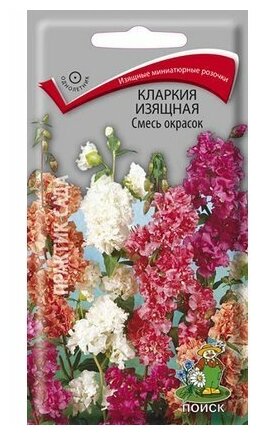 Семена Кларкия изящная Смесь окрасок 02 гр