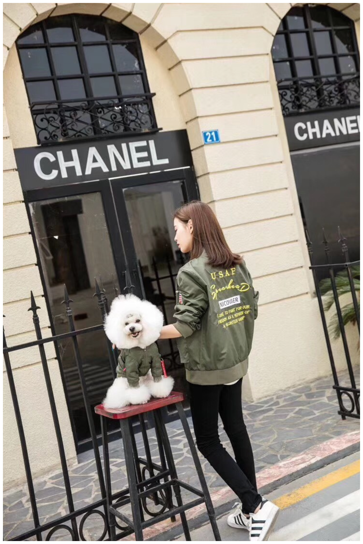 Непромокаемая куртка для собак, для кошек Nicovaer Волонтер (Хаки, XL) - фотография № 5