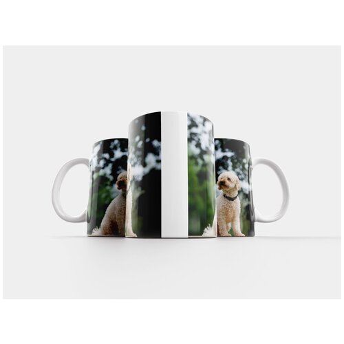 фото Кружка "пудель, маленький пудель, портрет" 320 мл lotsprints