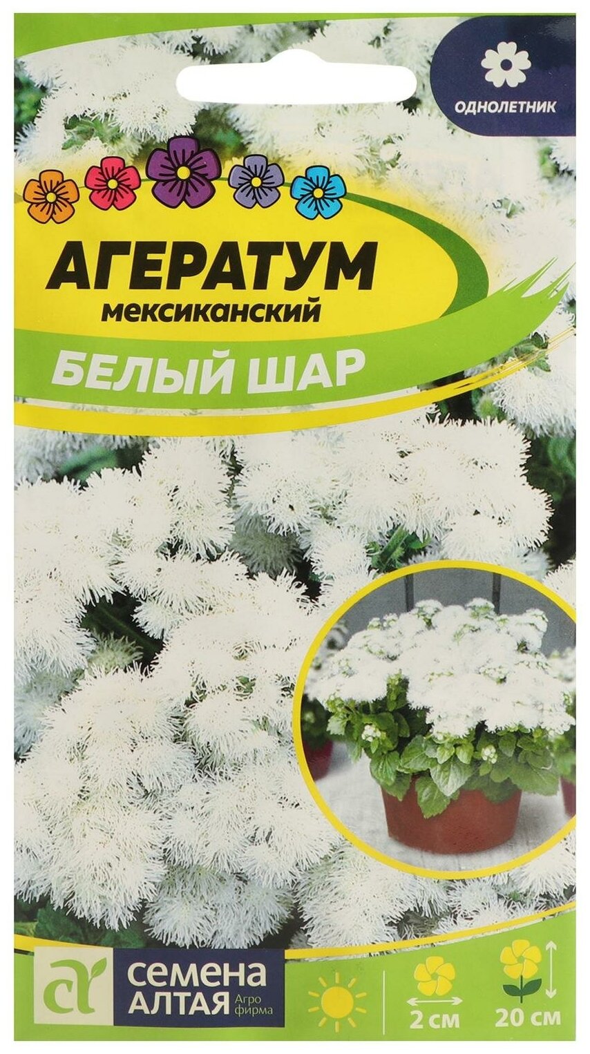 Семена цветов Агератум "Белый шар" Сем. Алт ц/п 01 г