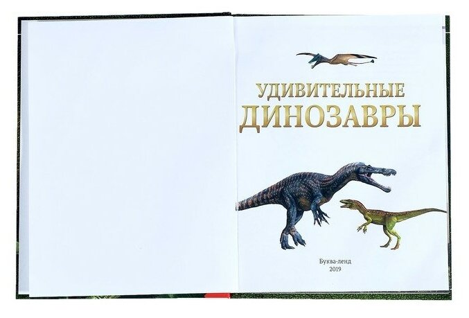 Книга Детская Энциклопедия В твёрдом переплёте Удивительные Динозавры Буква-Ленд - фото №18