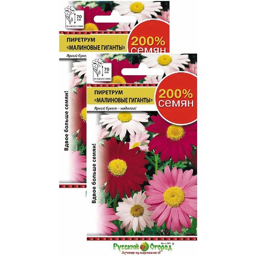 Пиретрум Малиновые гиганты (0,4 г), 2 пакета