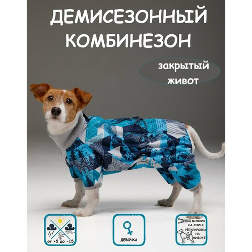 Комбинезон для собак DOGMODA Классик девочка мята размер 3