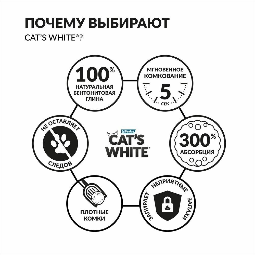 Cat's White Наполнитель комкующийся натуральный без ароматизатора для кошачьего туалета, 10 л - фото №13