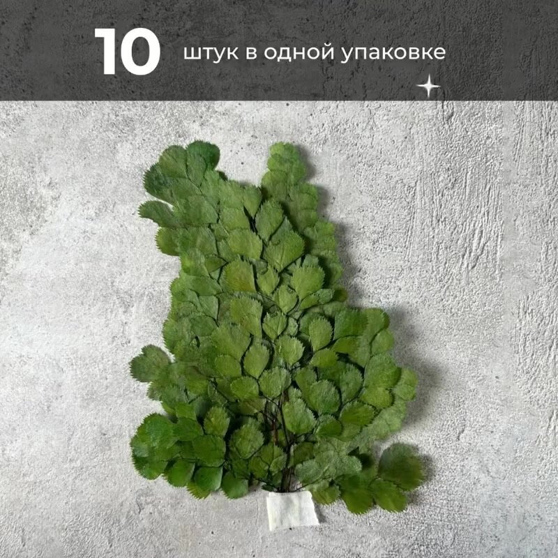 Greenery Moss / Стабилизированный Папоротник Люти для хобби и творчества - сухоцветы для свечей, эпоксидной смолы 10 шт — фото 1