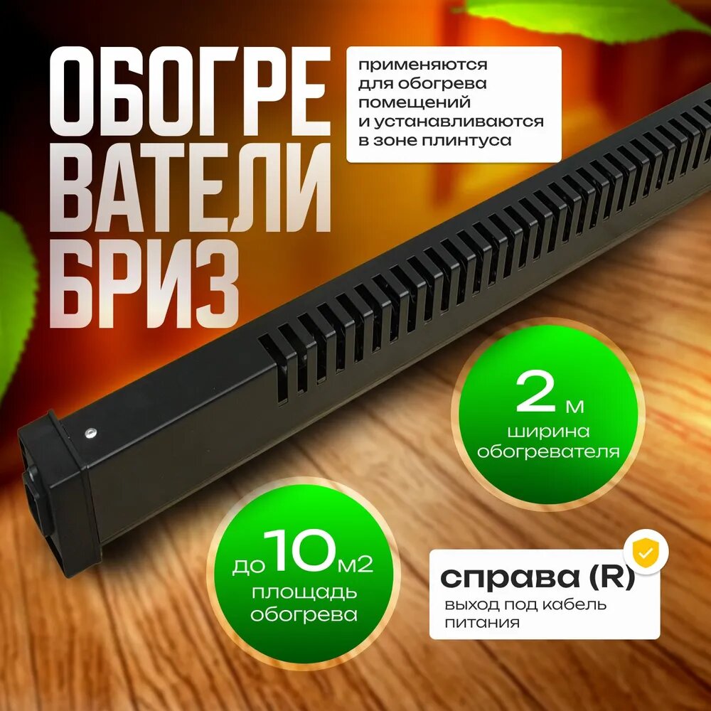 Плинтусные Обогреватели Обогреватель плинтусный Бриз БК200К (Конструктор), черный, вилка справа