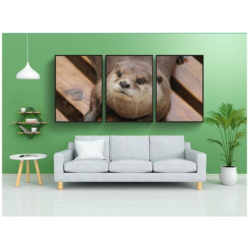 фото Набор модулных постеров для интерьера "выдра, животное, мех" 60x90 см. в тубусе, без рамки lotsprints