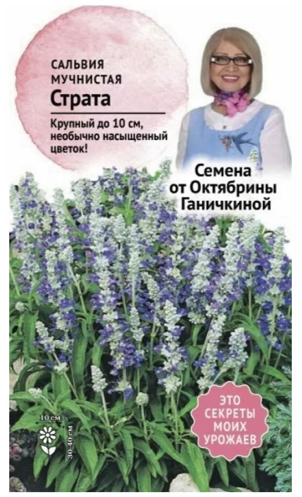 Семена цветов Октябрина Ганичкина - фото №2