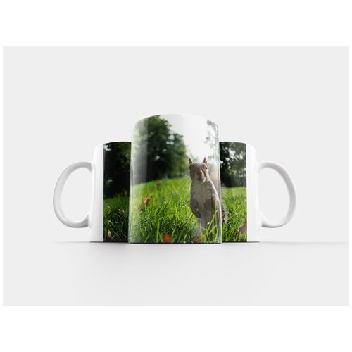 фото Кружка "лондон, белка, англия" 320 мл lotsprints