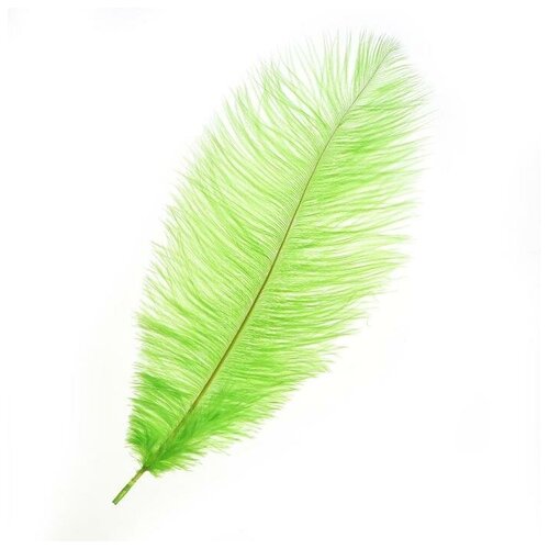 Купить Перо для декора, размер 30-35 см, цвет зеленый 6900057, Сима-ленд