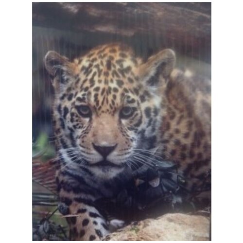 Обогреватель настенный Ягуар 167700₽